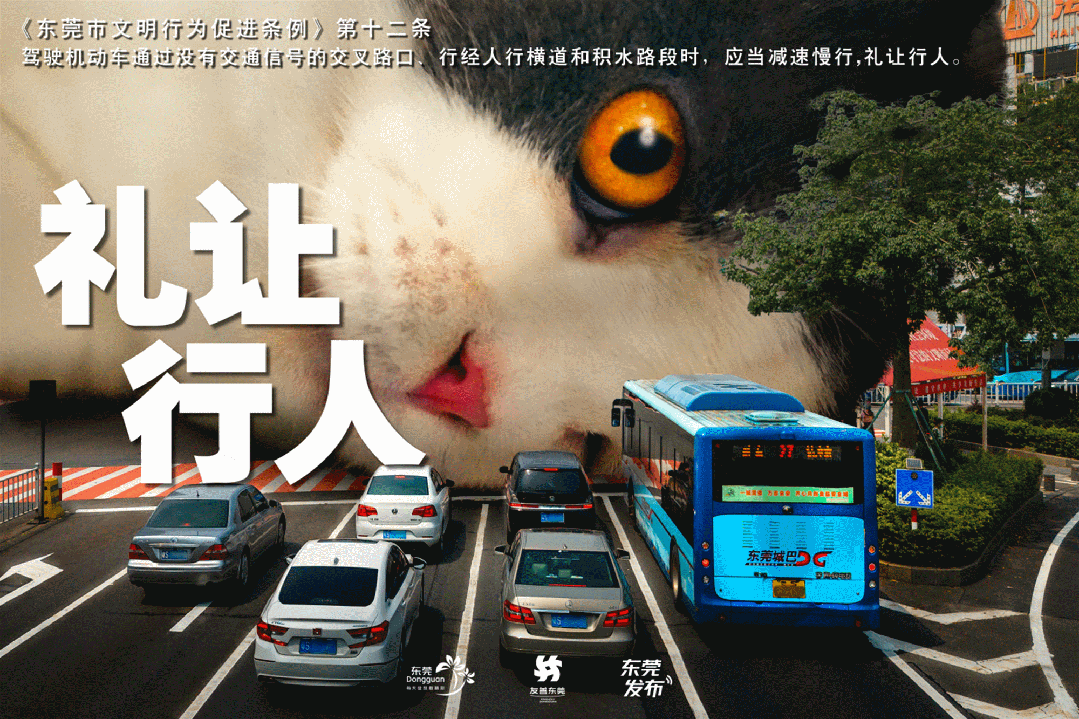 篮球训练内容文字描述_0